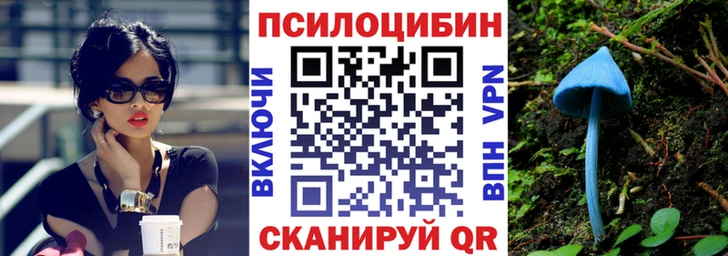 Псилоцибиновые грибы Psilocybine cubensis закладка Сланцы
