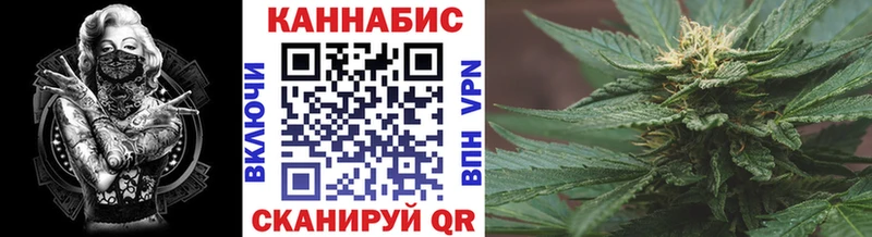дарнет шоп  Сланцы  МАРИХУАНА OG Kush 